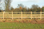 <span class="light">Fencing</span> Contractor