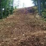 <span class="light">Mulching</span> Contractor