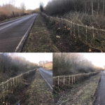<span class="light">Hedge</span> Laying Contractor
